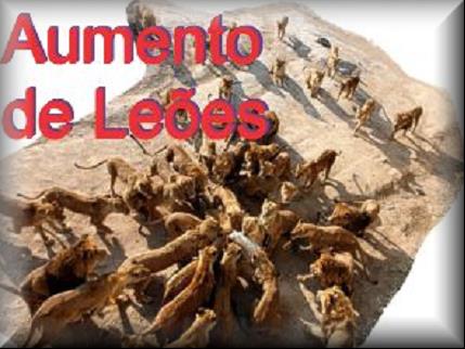 Aumento de Leões