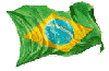 Brazilian Flag