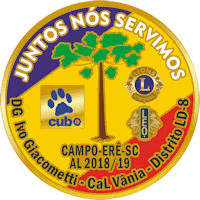 pin ivo 2018 19