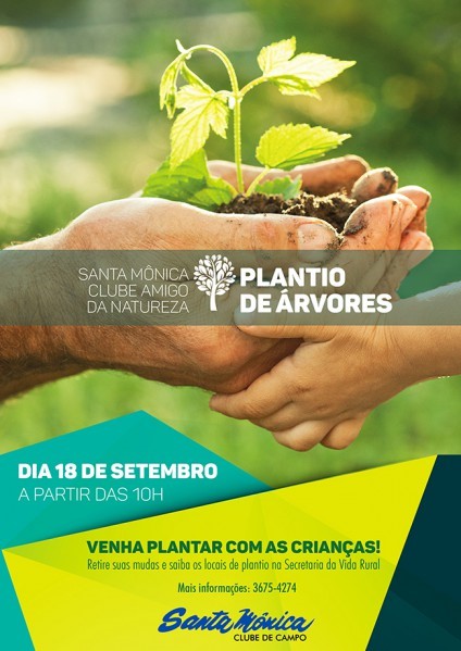 Plantio de Árvores